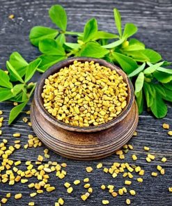 Fenugreek-oil-02-PERSSEH-essential-edible-OIL-PRODUCTS