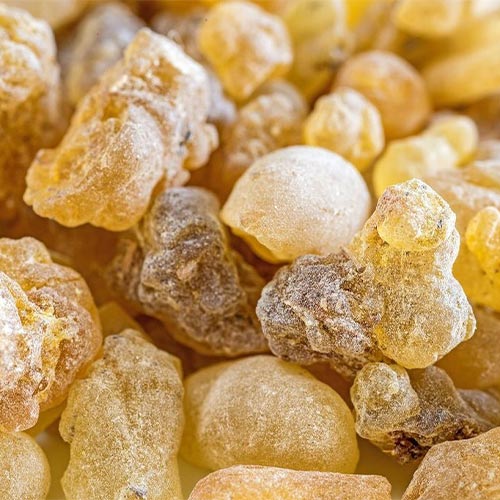 Frankincense-oil-02-PERSSEH-essential-edible-OIL-PRODUCTS