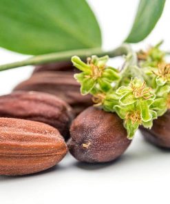Jojoba-oil-02-PERSSEH-essential-edible-OIL-PRODUCTS
