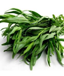 Tarragon-oil-02-PERSSEH-essential-edible-OIL-PRODUCTS