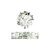 Yarrow-oil-01-PERSSEH-essential-edible-OIL-PRODUCTS