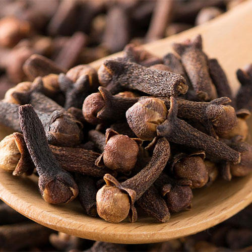clove-oil-02-PERSSEH-essential-edible-OIL-PRODUCTS