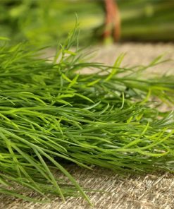 dill-oil-02-PERSSEH-essential-edible-OIL-PRODUCTS