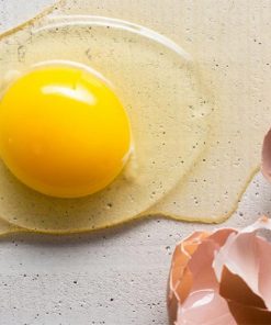 egg-yolk-oil-02-PERSSEH-essential-edible-OIL-PRODUCTS