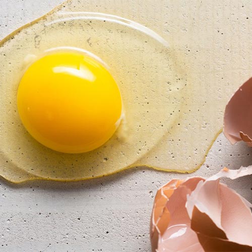 egg-yolk-oil-02-PERSSEH-essential-edible-OIL-PRODUCTS
