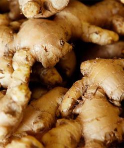 ginger-oil-02-PERSSEH-essential-edible-OIL-PRODUCTS