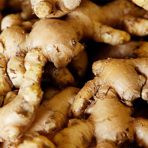 ginger-oil-02-PERSSEH-essential-edible-OIL-PRODUCTS