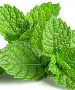 mint-oil-02-PERSSEH-essential-edible-OIL-PRODUCTS