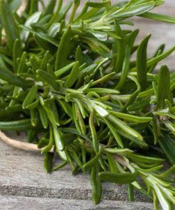 rosemary-oil-02-PERSSEH-essential-edible-OIL-PRODUCTS