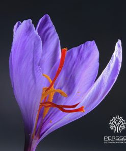 PERSSEH-SAFFRON-FOODSTUFFS-04